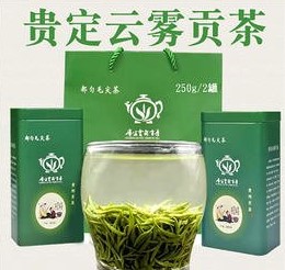 贵州茶交—云雾贡茶