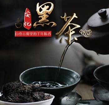 贵州茶交—云雾黑茶